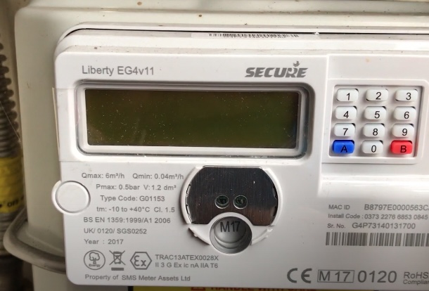 Liberty EG4 keypad prepaid gas meter